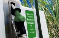 سوخت های گیاهی جایگزین نفت و بنزین
